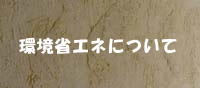 環境省エネについて